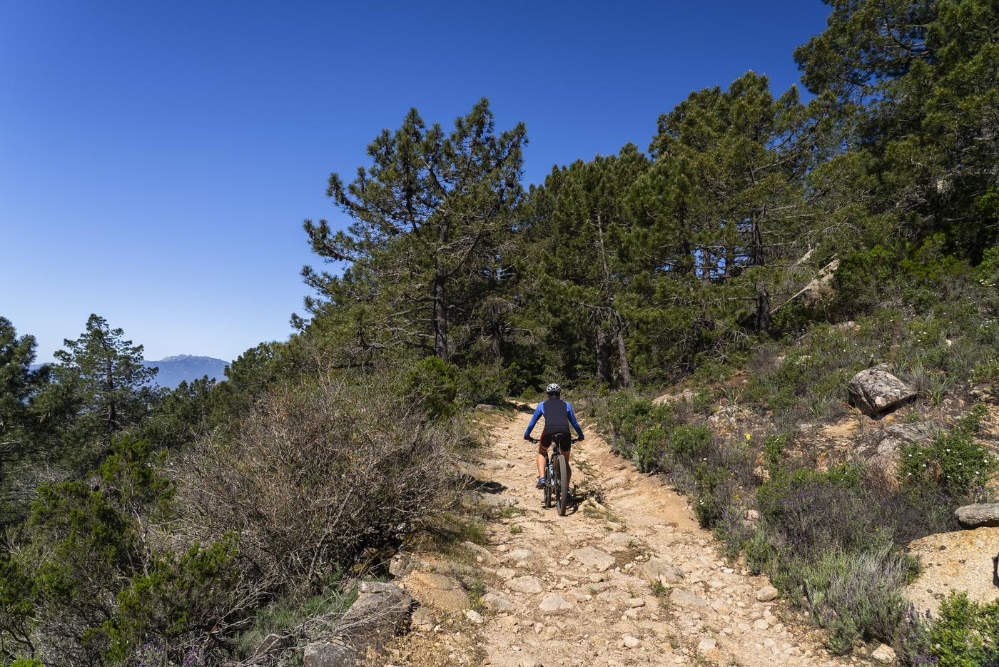 Mountain bike route on Monte Pino