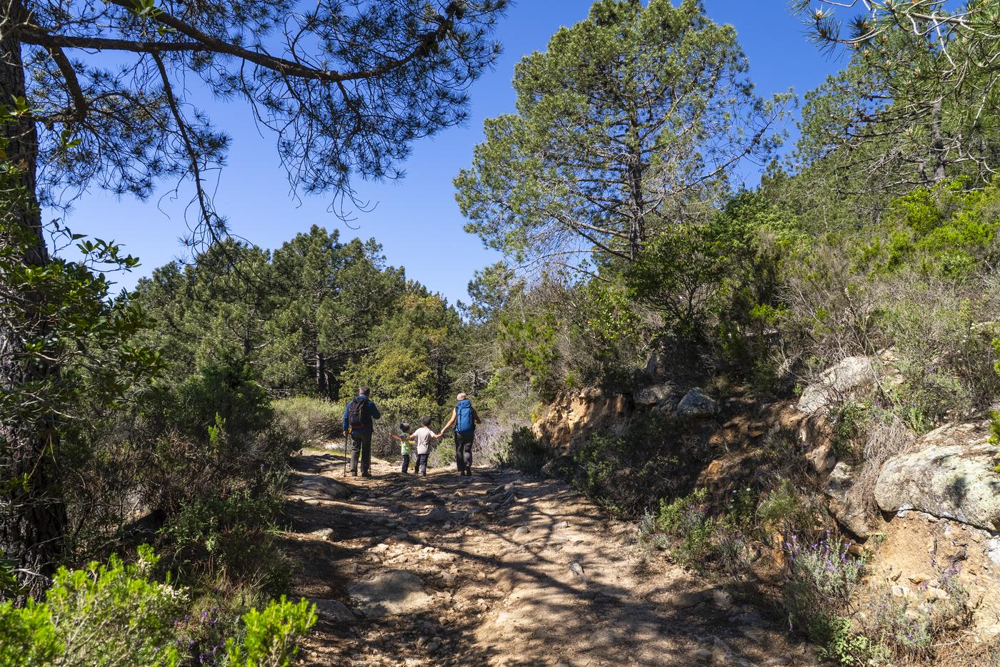 Family walking through the forest of Monte Pino