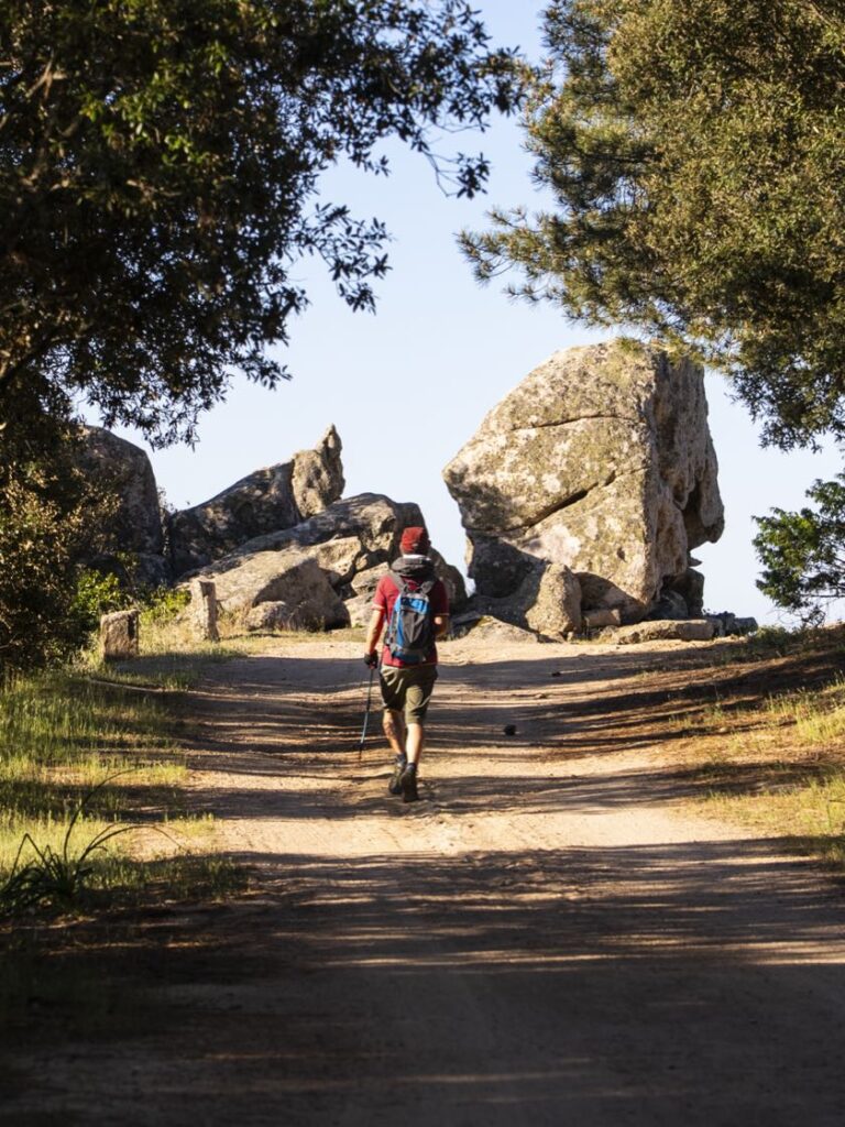Esperienze monte pino 100