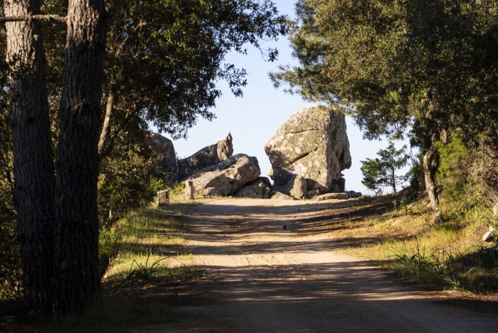 Esperienze monte pino 34