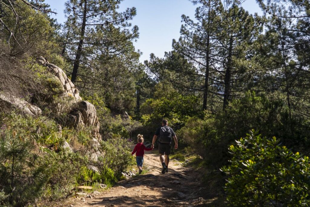Esperienze monte pino 85