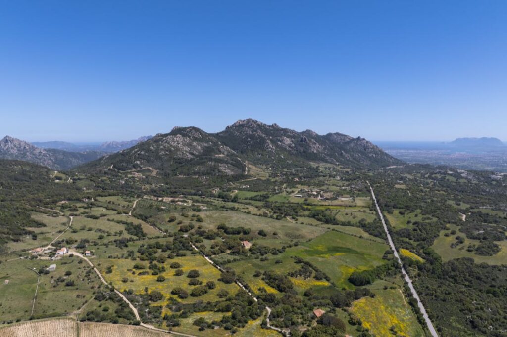 Gallura monte pino 14