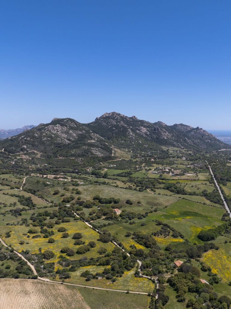 Gallura monte pino 54