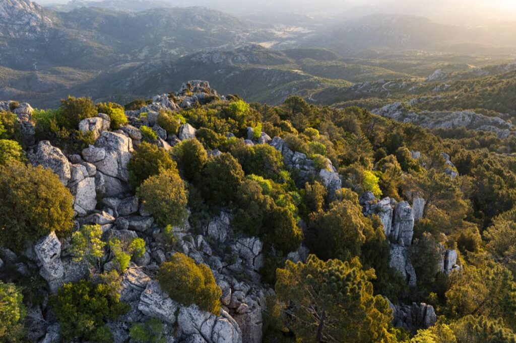 Granito monte pino 21