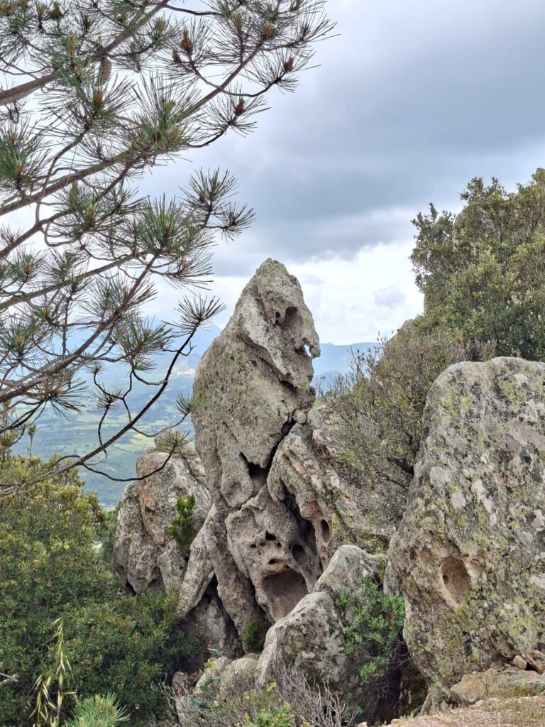 Storie roccia